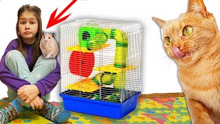 New HAMSTER Cats react on hamsters
