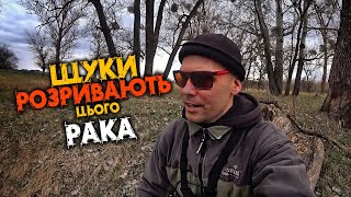 РУКИ БОЛЯТЬ ПІДСІКАТИ ТИХ ЩУК ! РИБАЛКА СПІНІНГОМ в КВІТНІ з БЕРЕГА 2023 РІК