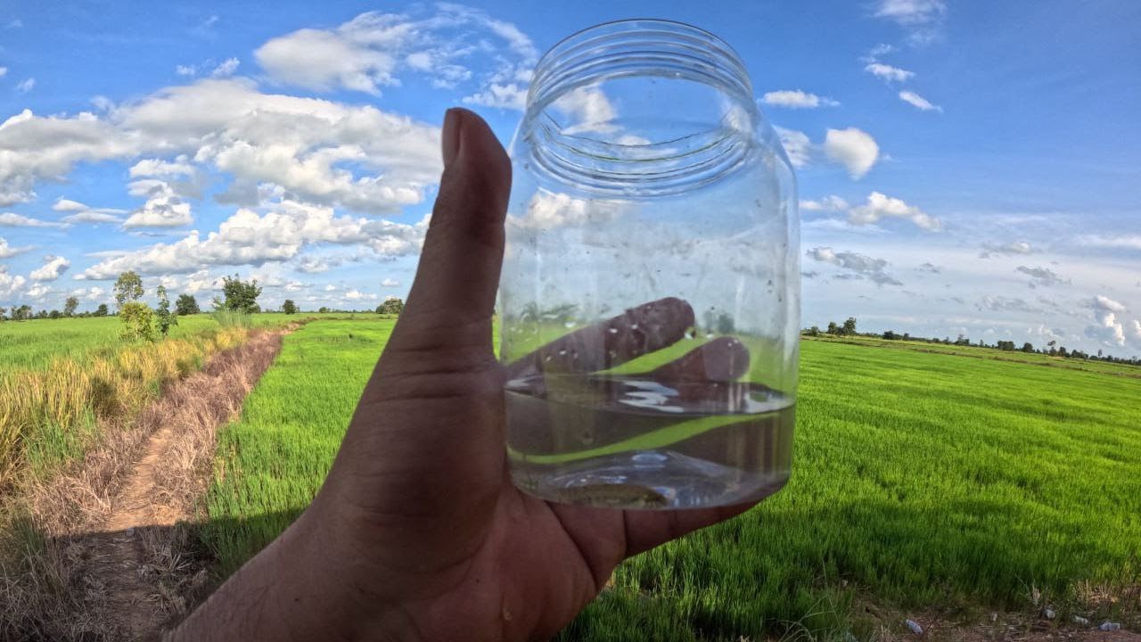 Collecting Fresh Field Water  Nature's Beauty in the Countryside 🌾💧