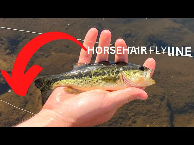 The Horse Hair Fishing Line