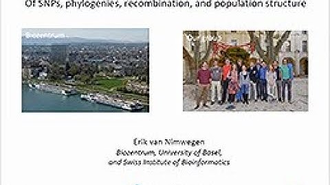 Erik van Nimwegen: Prokaryotic genome evolution