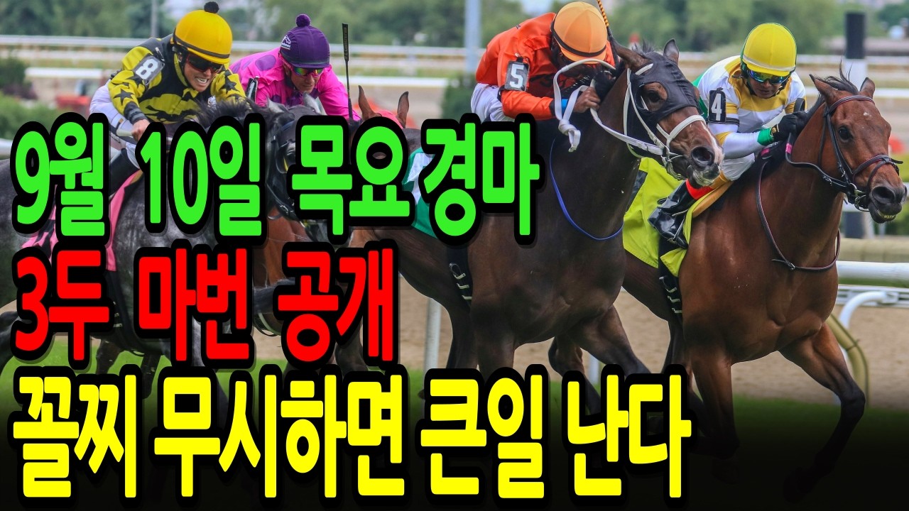 9월 10일 목요일 경마~ 꼴찌 무시하면 큰일 난다 | 이번 주말 대박 복병 공개ㅣ승전경마 전문가의 이변 포착 l 경마 l 경마예상 l 코리아레이스 l 검빛경마 ㅣ경마정보