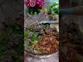 Premium Pergedel Kentang #dapurummiyyn  #homemadefood  #pergedelkentang