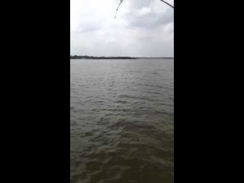 video:Lake Lewisville Fishing Report
