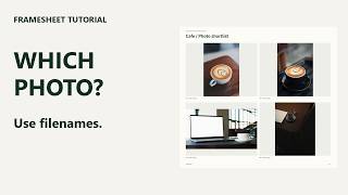 How to Make a Contact Sheet with Filenames | FrameSheet Tutorial