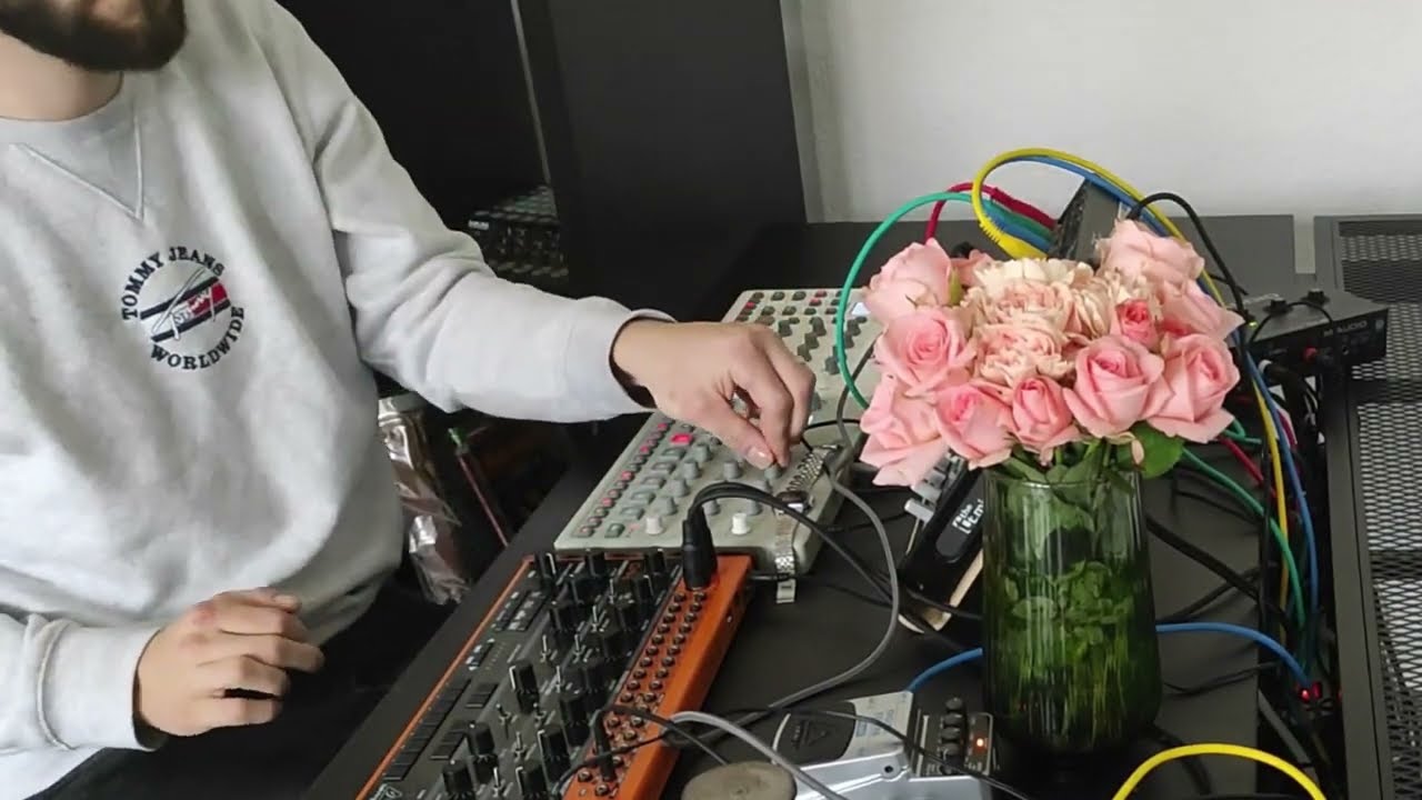 mode:808 - State of Euphoria 