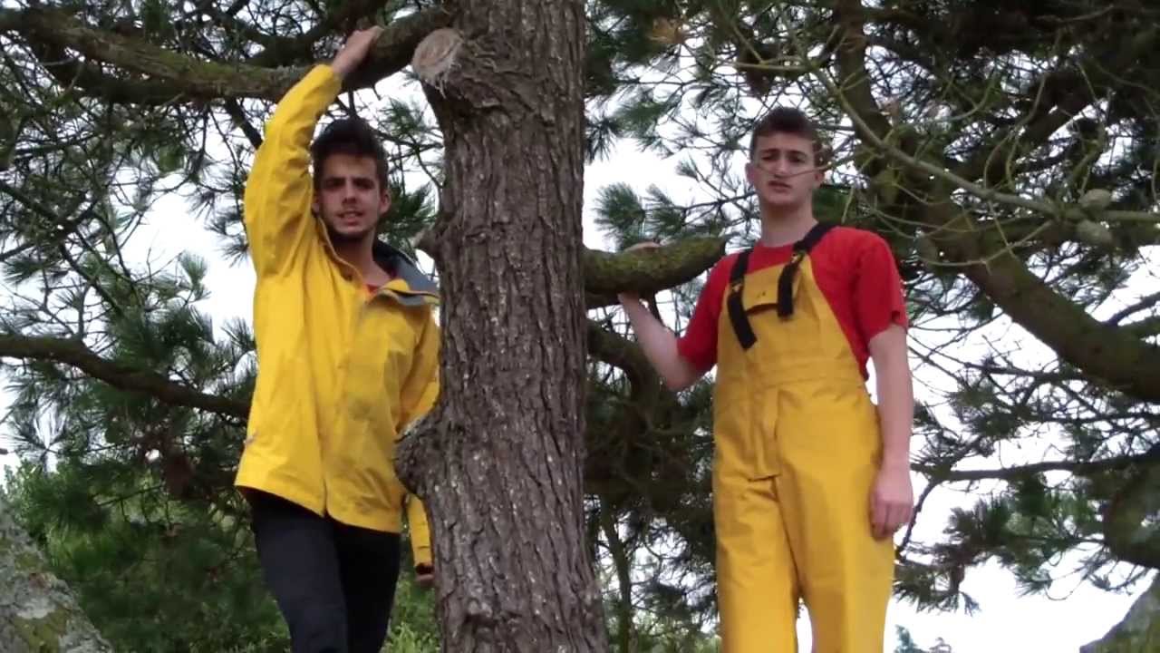 THE ZEE - VIENS EN BRETAGNE