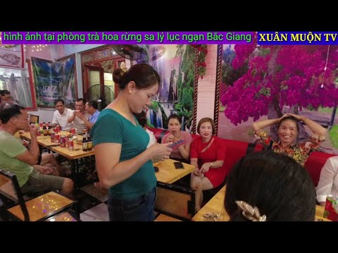Video đi phòng trà ngắm người đẹp - youtube