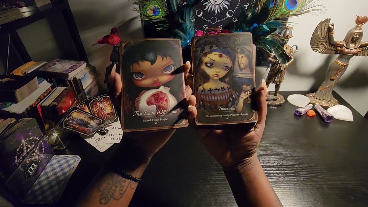 they don't wanna play no more this is a fight they know they can't win 🤕🏳