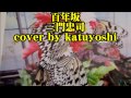 百年坂(歌詞字幕入り)三門忠司 cover by katuyoshi