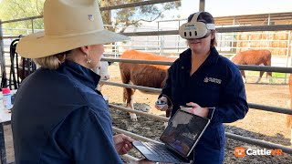 CattleVR - developed FOR educators BY educators