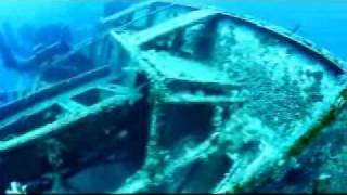 Celebrity Zenobia Wreck Wealth