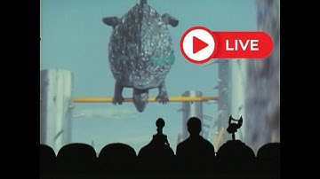 🐢 Gamera is Really Neat