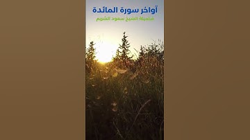 أواخر سورة المائدة -صوت عذب يريح النفس❤️😌#