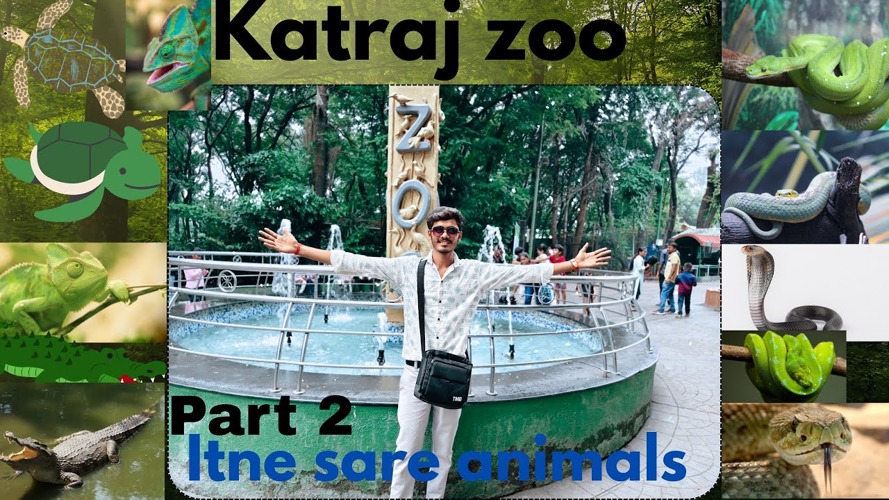 Zoo me itne sare janwar 😳👀 Katraj zoo maharashtra 100 + animals 