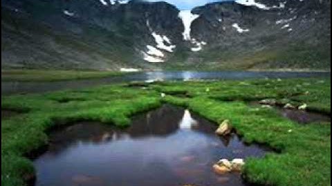 الجزء العاشر من القرآن الكريم - للشيخ عبد الله عليوة