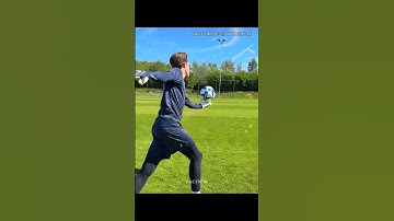 #guessinggame Voice Credit:- @swordempire