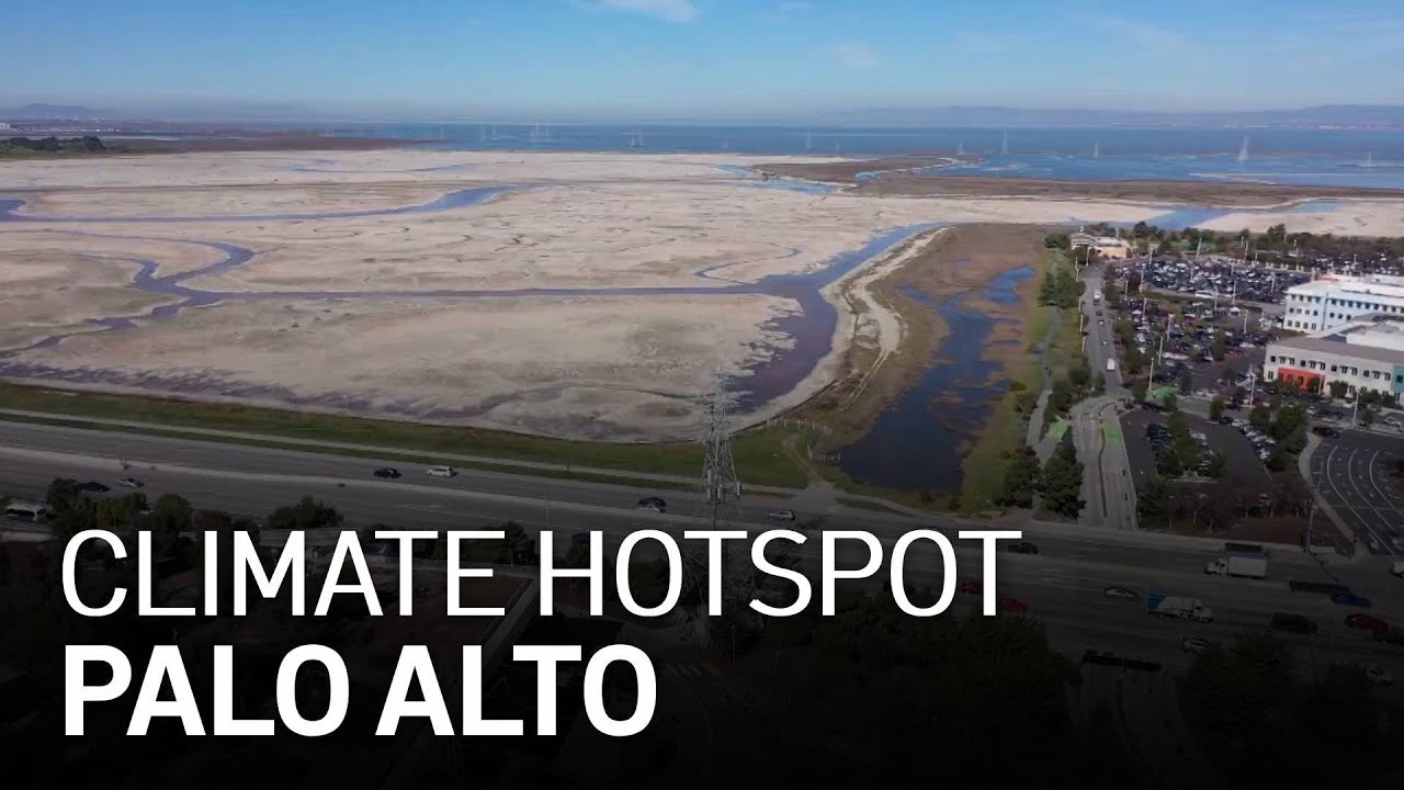 Climate Change Hotspot: Palo Alto -- The New Hurdle for California Salmon