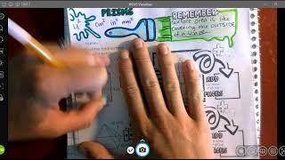 Doodle Notes p 157: Surface Area of Pyramids and Prisms