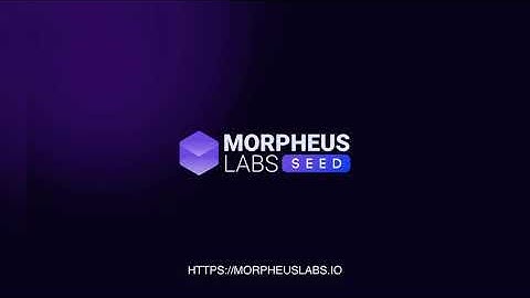 AML/KYC on Morpheus Labs SEED Demo