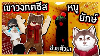 เขาวงกตชีส! หมาสติแตกเอาชีวิตรอดจากหนูยักษ์!🐾