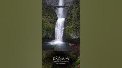 إن الأبرار لفي نعيم. #قرآن #quran تلاوة رائعة للقارئ ياسر الدوسري