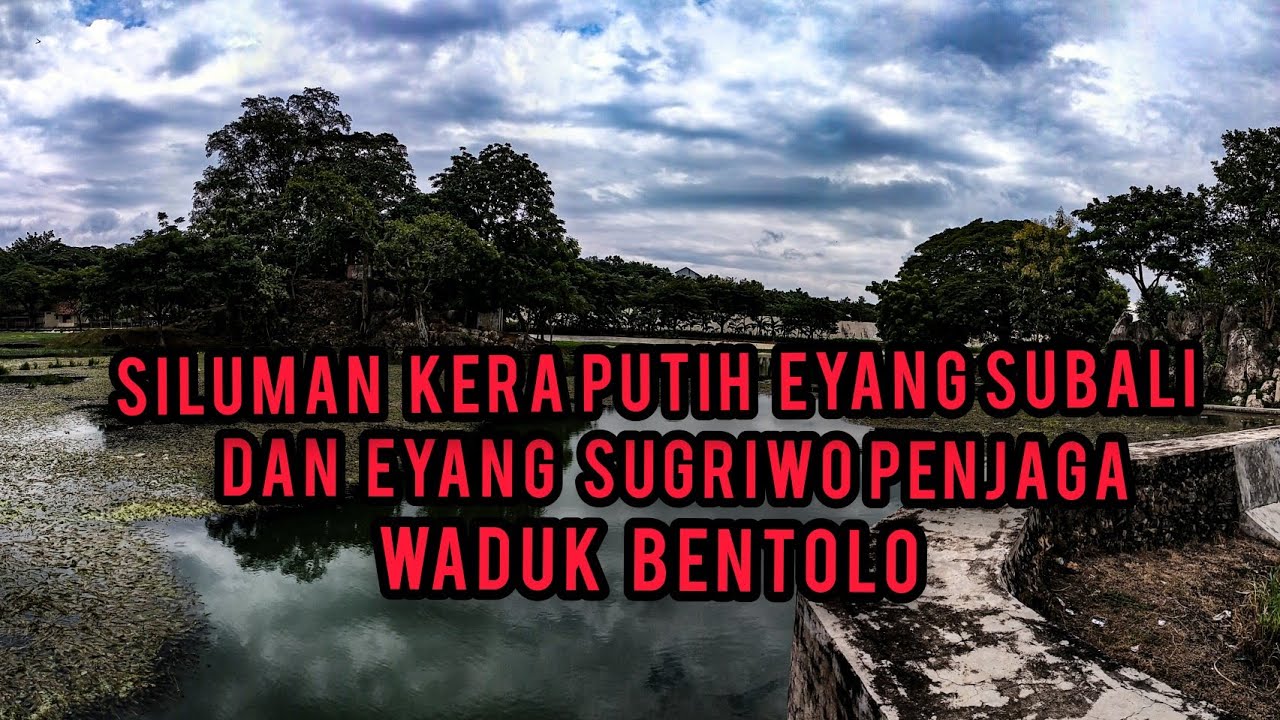 MENGUNGKAP SEJARAH SILUMAN KERA PUTIH EYANG SUBALI DAN EYANG SUGRIWO DI WADUK BENTOLO