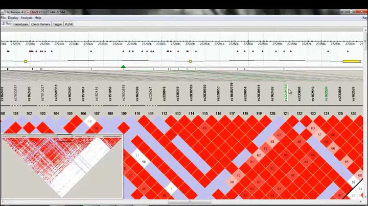 Association mapping using PLINK software