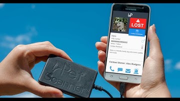 Pet Technology Store Halo Microchip Scanner Black,135mm Durchmesser X 33mm