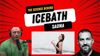 The Science Behind Icebath and Sauna by Joe Rogan & Andrew Huberman