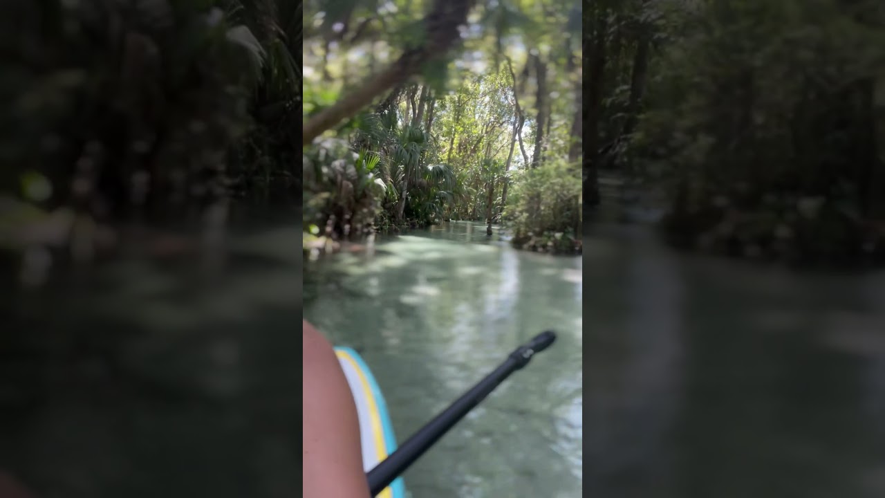 Relaxing Paddle - Emerald Cut 