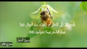 وَأَوْحَىٰ رَبُّكَ إِلَى النَّحْلِ || القارئ #المنشاوي