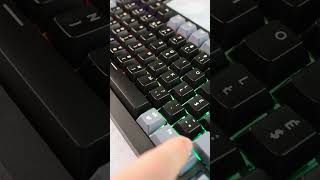Keychron J8 HE 8K | Magnetic Switch Sound Test #keyboard #gaming #tech