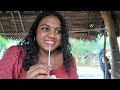 Jaffna To Kandy Road Trip Sri Lanka Vlog Jaffna To Kandy Road Trip Sri Lanka Vlog