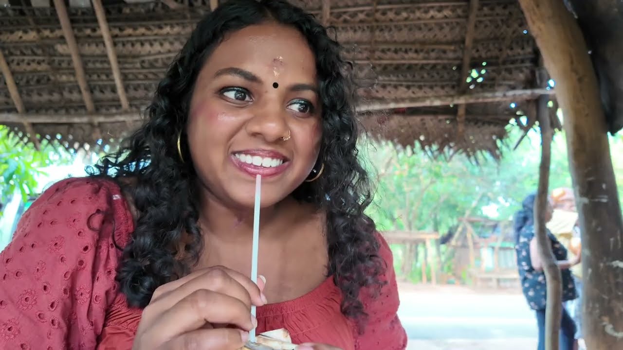 Jaffna to Kandy Road Trip - Sri Lanka Vlog