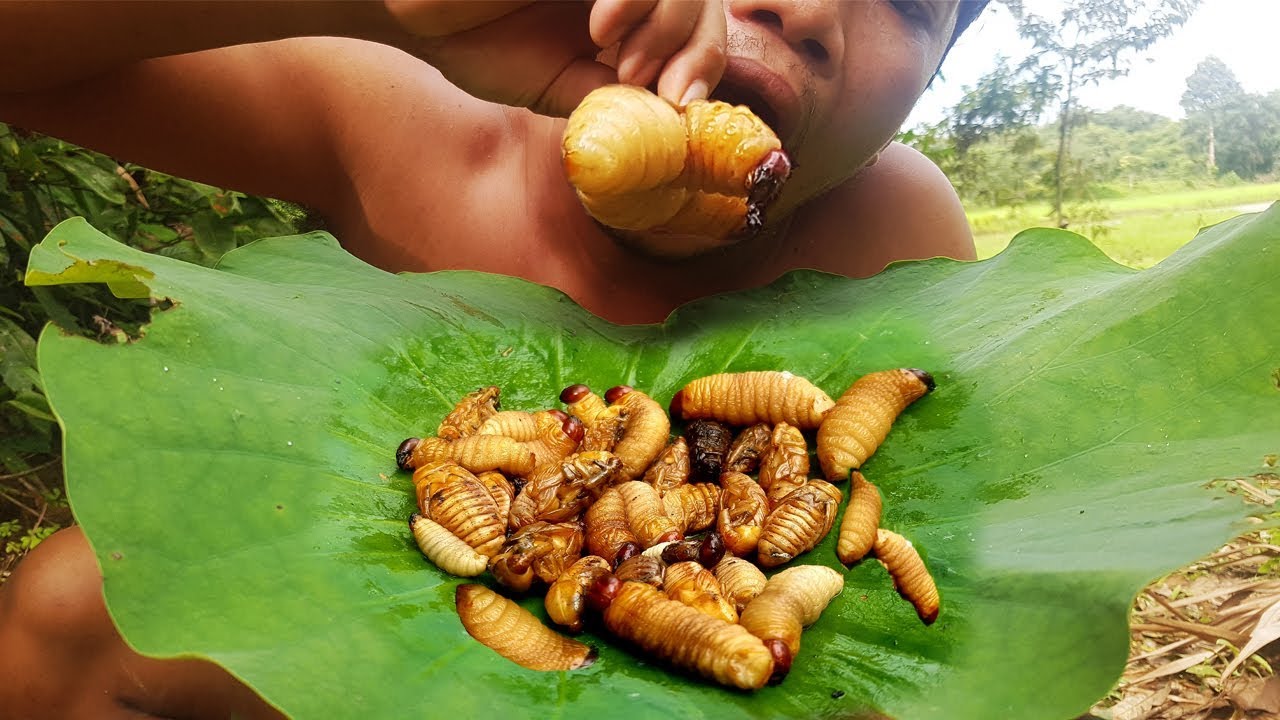 Primitive Recovery : Amazing Man Finding And Cooking Wood Worms.