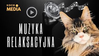 Muzyka relaksacyjna i uspokajająca dla kotów i ich opiekunów.