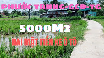 MS80 Bán nền đất 5000m2 đường ô tô giá rẻ tại ấp Thanh Nhung 1 xã Phước Trung GCĐ TG