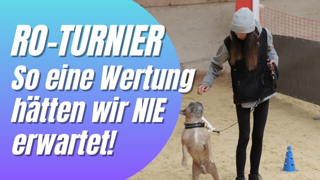 Französische Bulldogge beim Rally Obedience Turnier – starker Lauf, harte Bewertung!