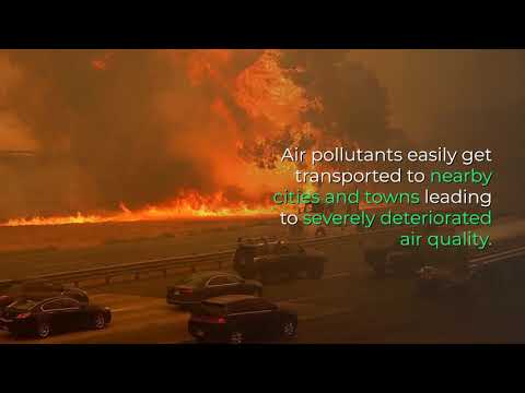 فيديو: لماذا الضباب الدخاني كثيف للغاية في لوس أنجلوس؟