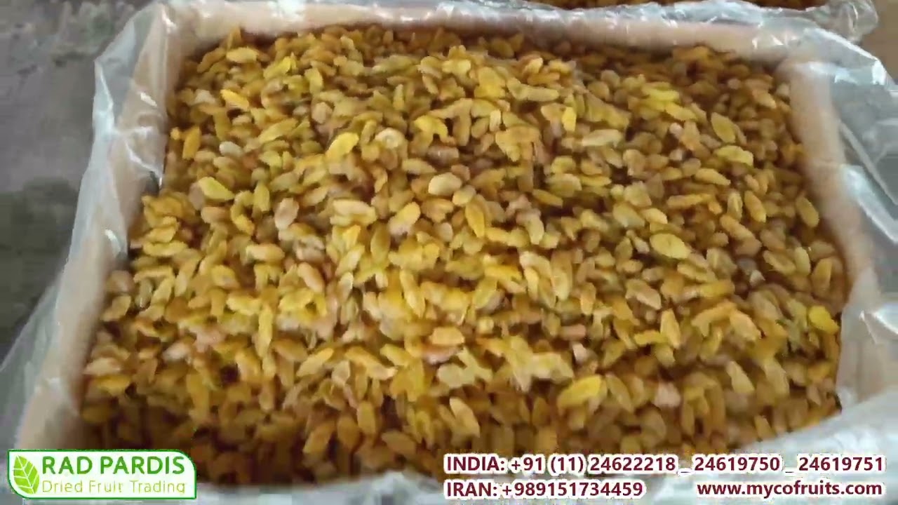 Raisin Factory _ green raisin _ dried fruits & nuts