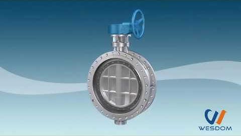 3D simulation principle of butterfly valve