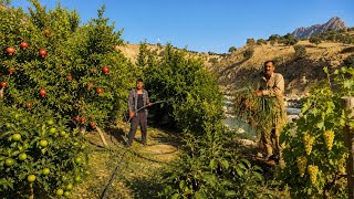 Nomadic life: 🌊Maintaining an orchard in the mountains 🍑| Watering the garden and caring for crops🌿🍇