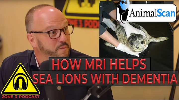 Z3P Clips: How MRI is Helping Sea lions with  Deme...