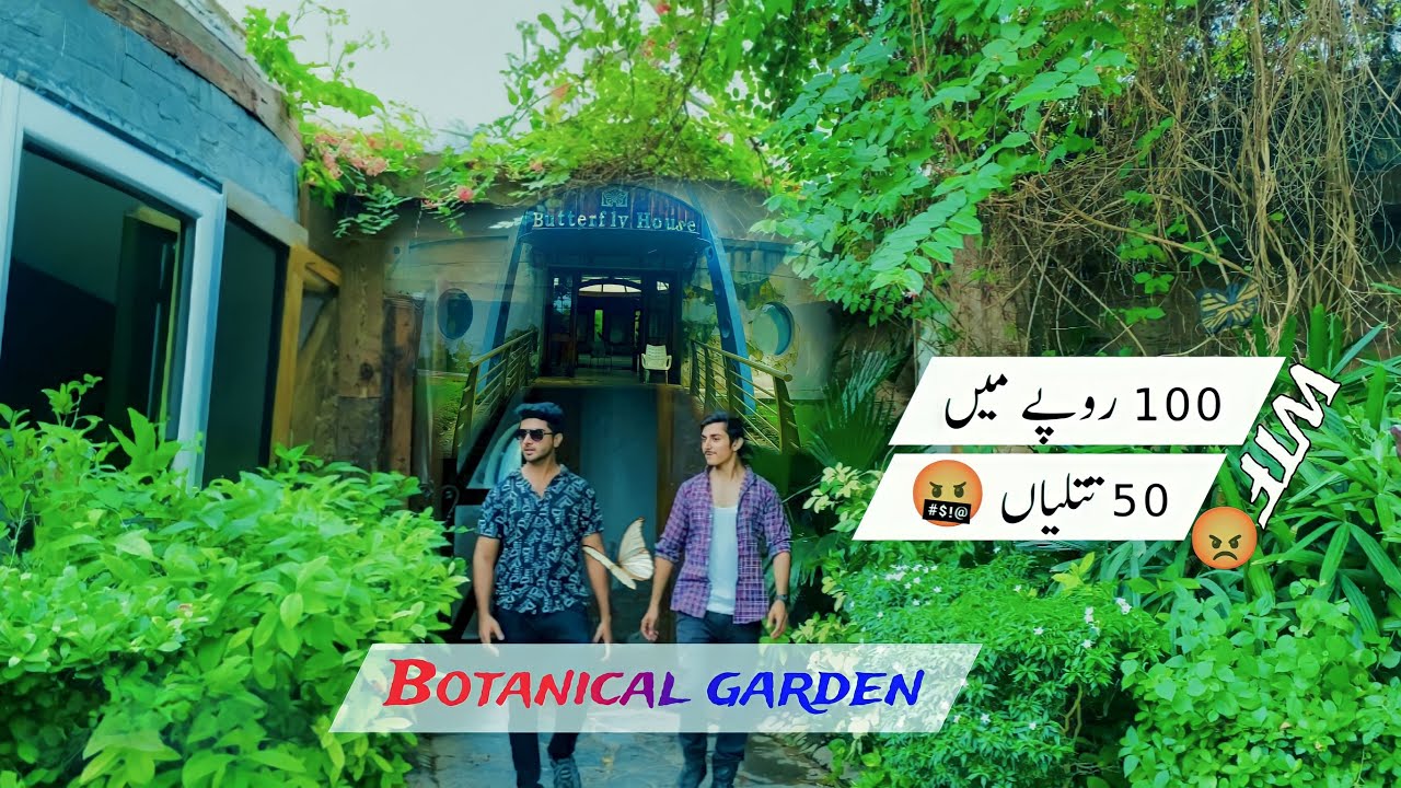 Butterfly House in Lahore Botanical Garden Jallo Park YouTube