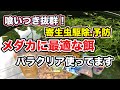 【話題のエサ】喰いつき抜群！寄生虫駆除.予防、メダカに最適な餌パラクリア使ってます