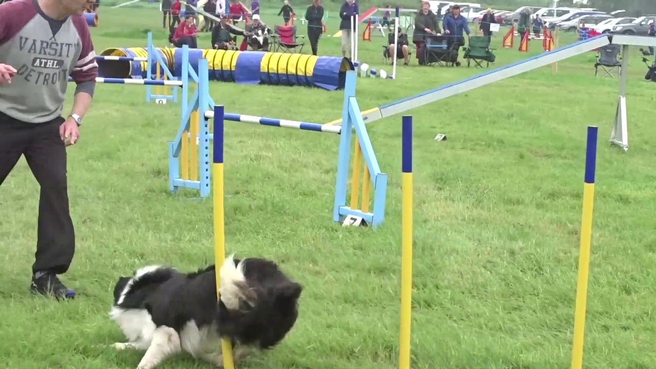 Echo Agility 1 second go - YouTube