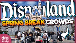 How CROWDED is Spring Break at Disneyland | March 2024 Wait Times