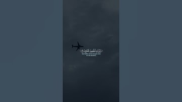 يوم لا ينفع مال ولا بنون | القرآن الكريم