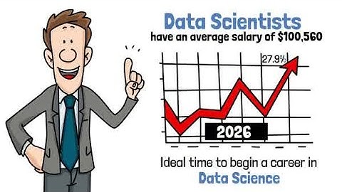 What is Data Scientist?